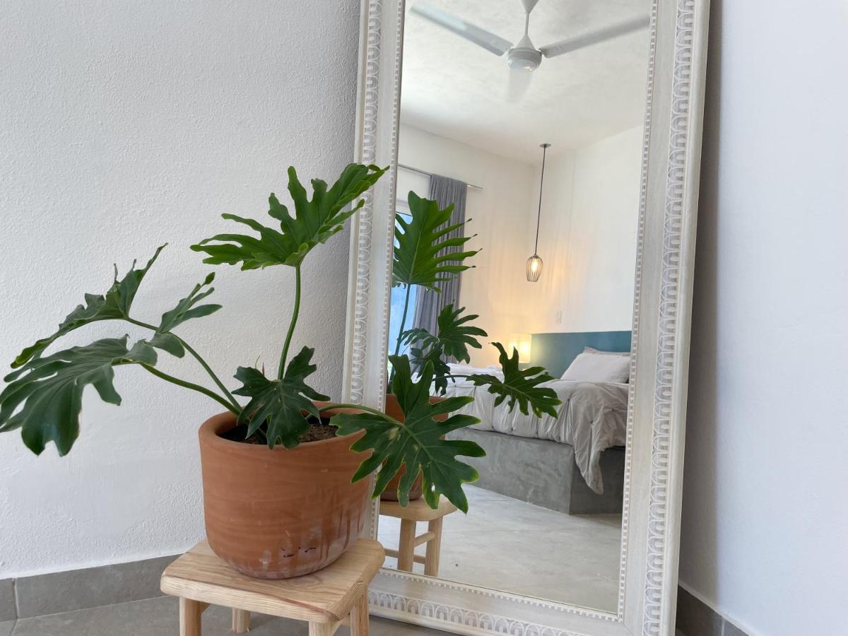 La Ventana Hostel Εξωτερικό φωτογραφία